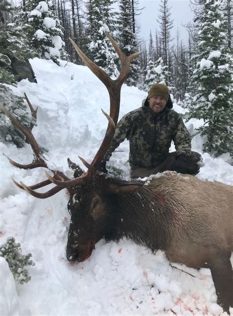 Elk Hunting topics, discussion, and reports. . Wdfw hunting